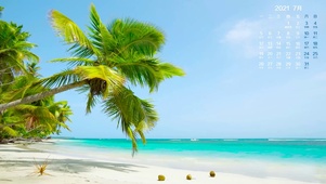七月日历椰树海滩