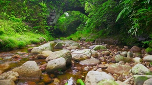 桥下山涧小溪流