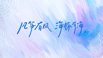 风筝有风海豚有海