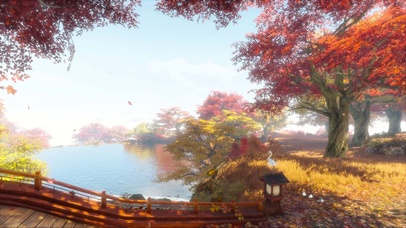 碧水红叶林