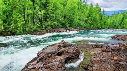 清凉一夏，清新绿意