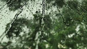 【雨滴专题】下雨带来的凉爽
