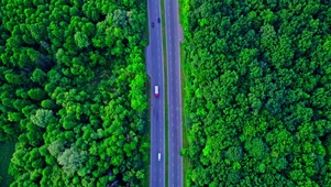 森林公路