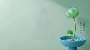 一念清净，莲花开
