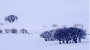 雪景壁纸