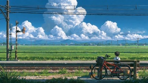 夏日田野4K