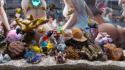 守望先锋热带鱼