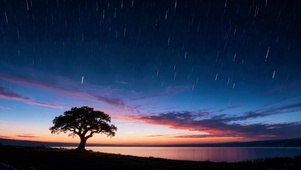 孤树湖畔星空流星夜景