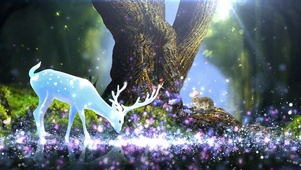 梦幻丛林