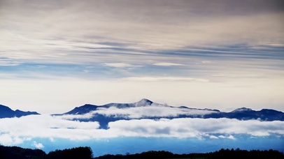 高山云雾