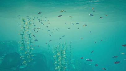 海底