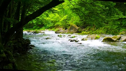 山涧绿林流水