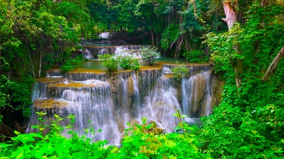 舒适护眼绿林瀑布