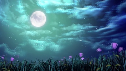 唯美星空花海