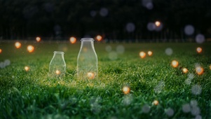 夜晚萤火虫