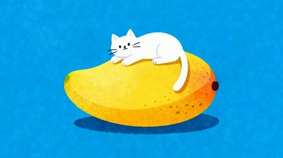 可爱猫咪