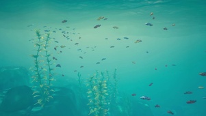 海底