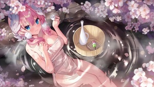 山桂贰1