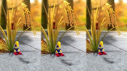 积木奥斯卡-治愈稻谷