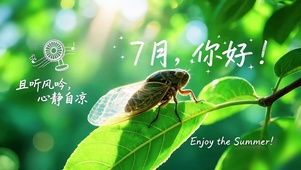 7月你好-清新夏蝉