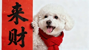 来财旺财