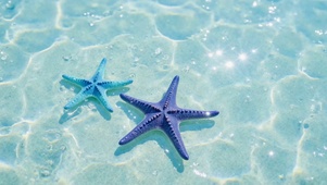清澈浅海蓝色海星