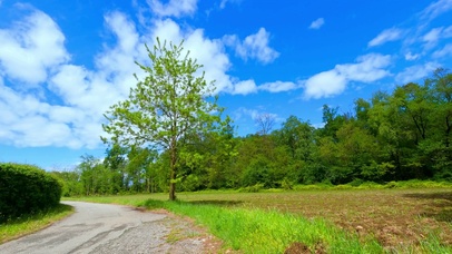 治愈乡间小道4K