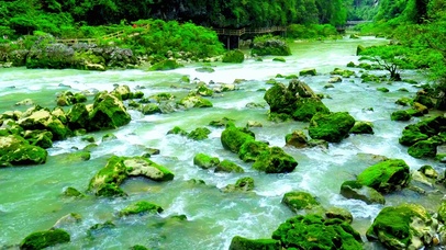 4K夏日护眼小河流水