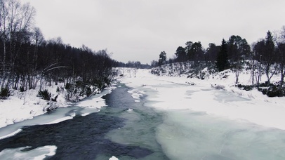 寂静雪林