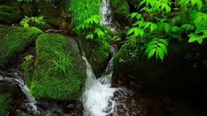 4K夏日清凉溪水
