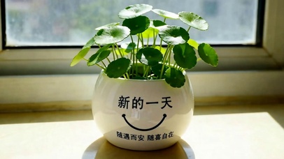 新的一天
