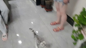 七月的淘气
