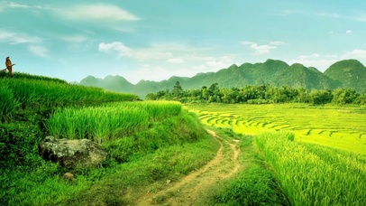 稻田小路，山峦蓝天