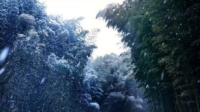 竹林飘雪