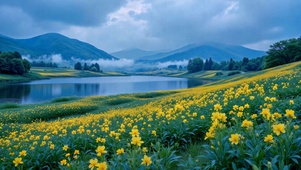 雾绕山湖黄花海