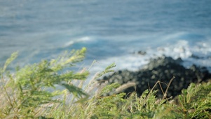 吹吹海风去去班味