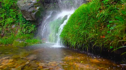 4K清凉夏日溪水