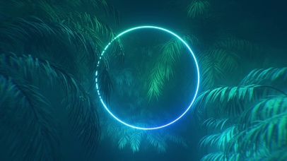 霓虹圆环与棕榈叶