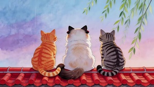 屋檐看风景猫咪