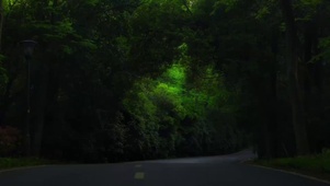 梦里的场景