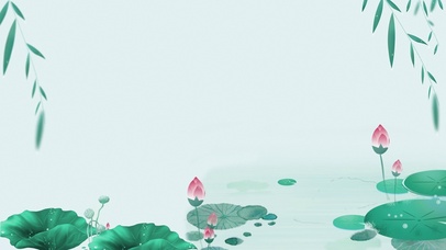 夏天池塘荷花荷叶清新风景绿色