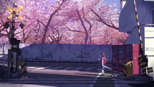 【秒速五厘米】桜花抄