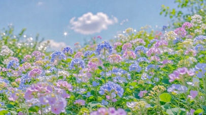 清新治愈春日蓝粉花海