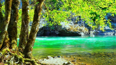 唯美阳光小溪4K