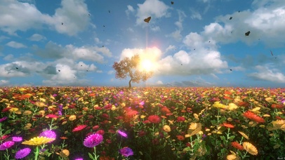 蝴蝶 花朵 景观_1