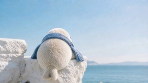 海边小海獭