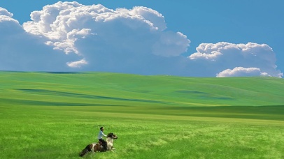 旷野草原 策马奔腾