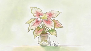 小清新绿植