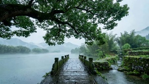 雨天绿堤