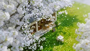 梨花满院